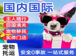 温州龙湾机场空运国际宠物托运 【国